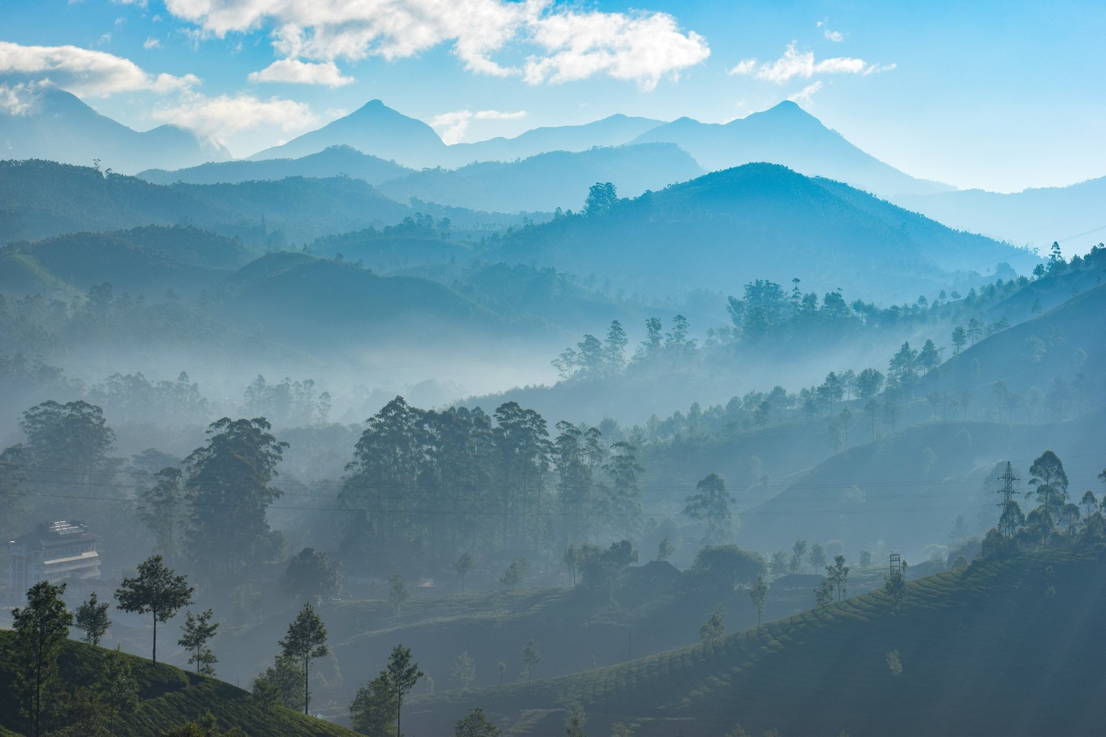 Hills & Backwater of Kerala